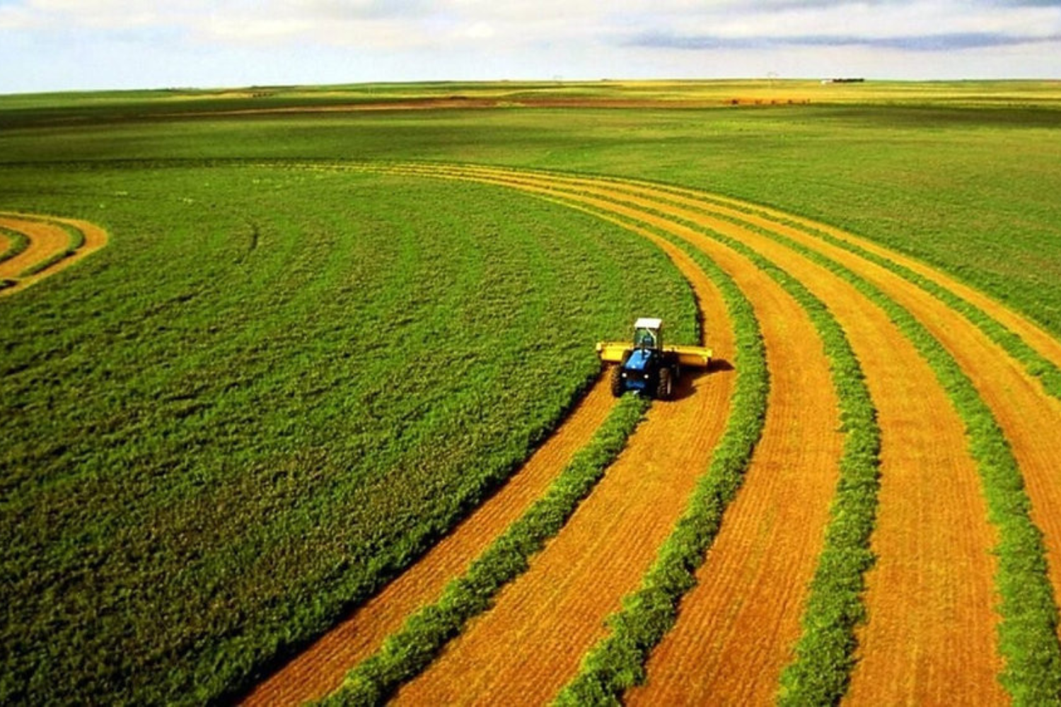 Créditos de COFINS sobre insumos da fase agrícola na atividade agroindustrial